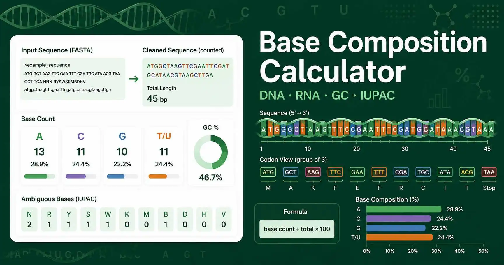 Base Composition Calculator dashboard showing DNA and RNA nucleotide counts, GC content, and base percentages