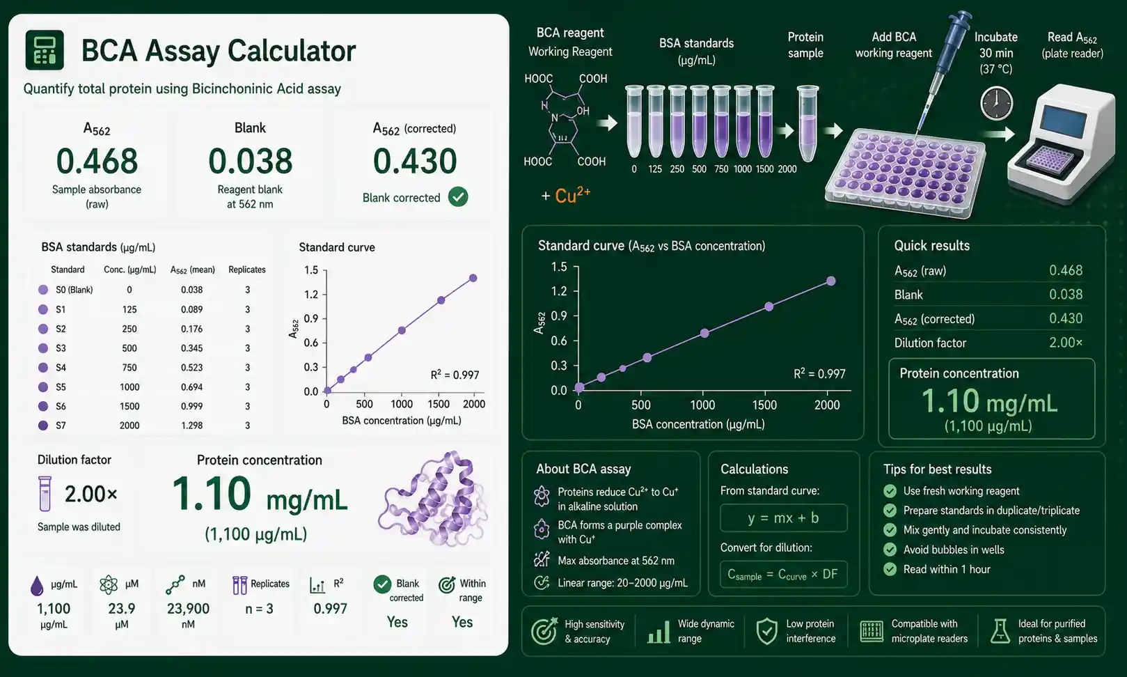 BCA Assay Calculator interface showing inputs, calculated results, and molecular lab workflow cards