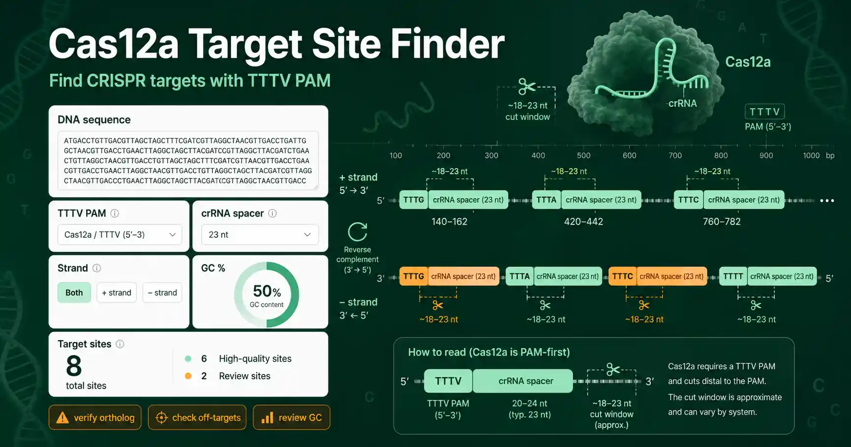 Cas12a Target Site Finder interface showing inputs, calculated results, and molecular lab workflow cards