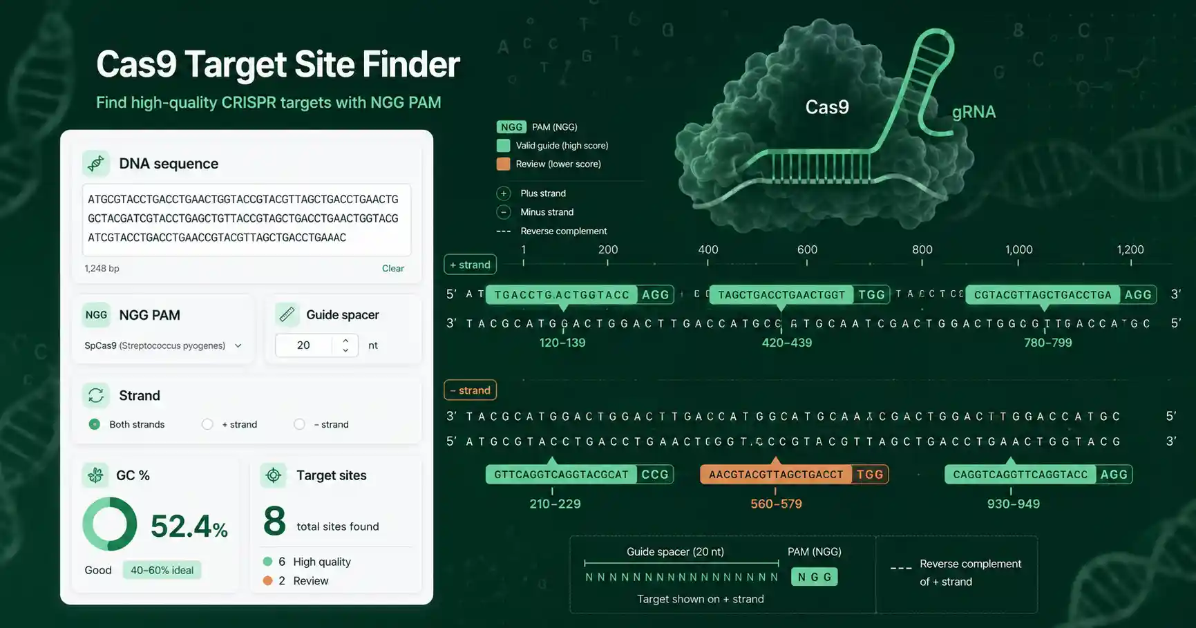 Cas9 Target Site Finder interface showing DNA target sites, NGG PAMs, guide spacers, and strand direction