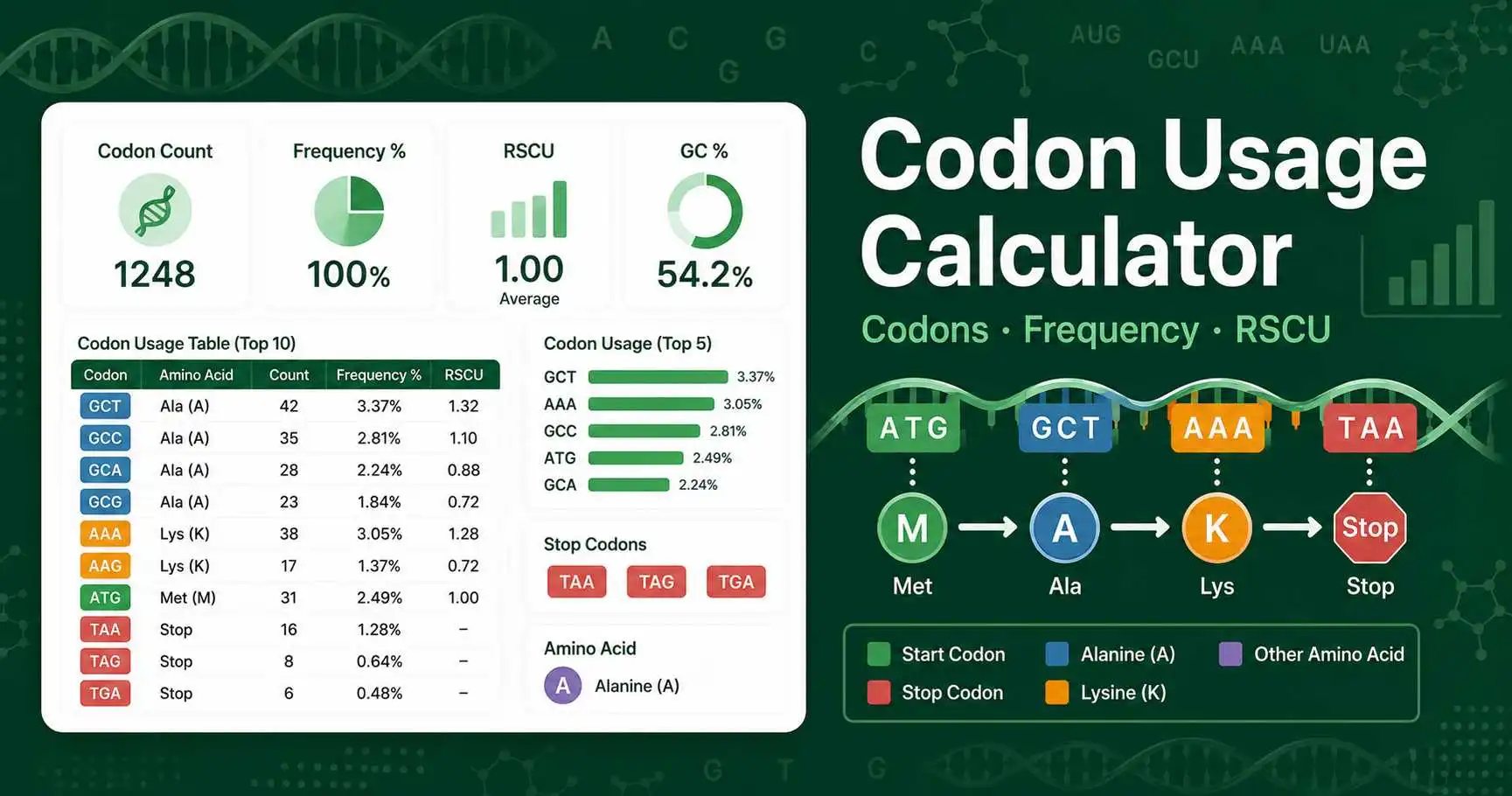 Codon Usage Calculator dashboard showing DNA codons, amino acids, frequency table, GC content, and RSCU values