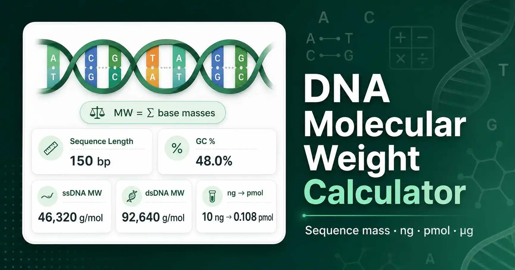 DNA Molecular Weight Calculator interface showing sequence length, base composition, GC content, and mass-to-moles conversion