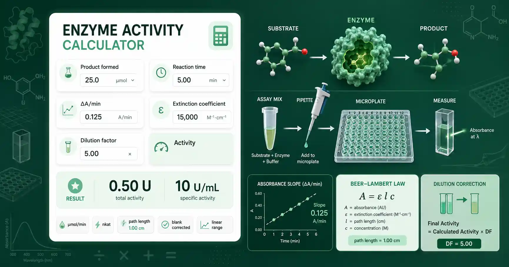 Enzyme Activity Calculator interface showing assay rate, product amount, dilution factor, and activity results