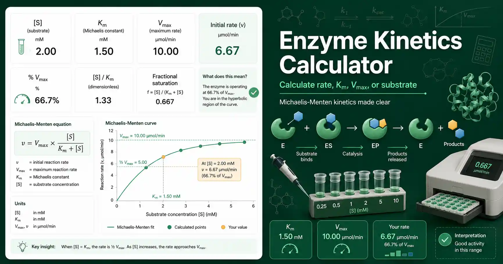 Enzyme Kinetics Calculator interface showing Michaelis-Menten curve, Km, Vmax, substrate concentration, and reaction rate