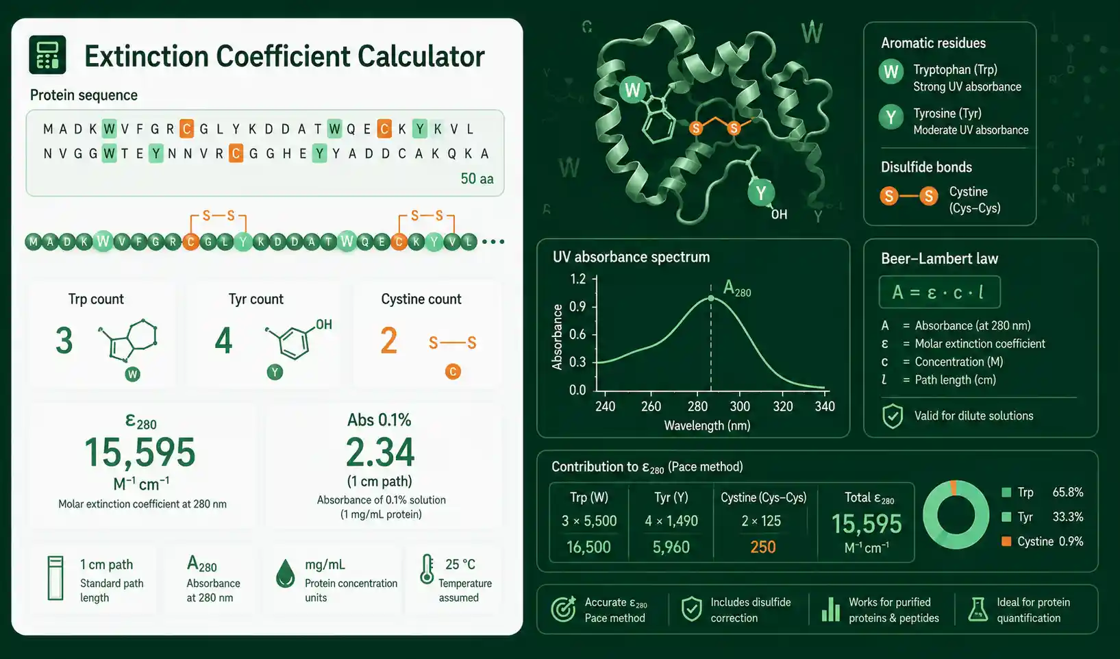 Extinction Coefficient Calculator interface showing protein sequence, W and Y counts, cystine count, and ε280 result
