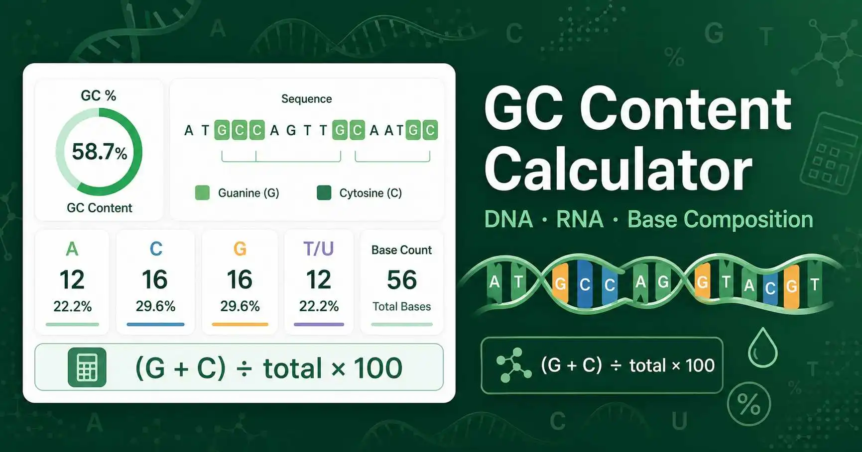 GC Content Calculator dashboard showing DNA base composition, GC percentage, and sequence analysis results