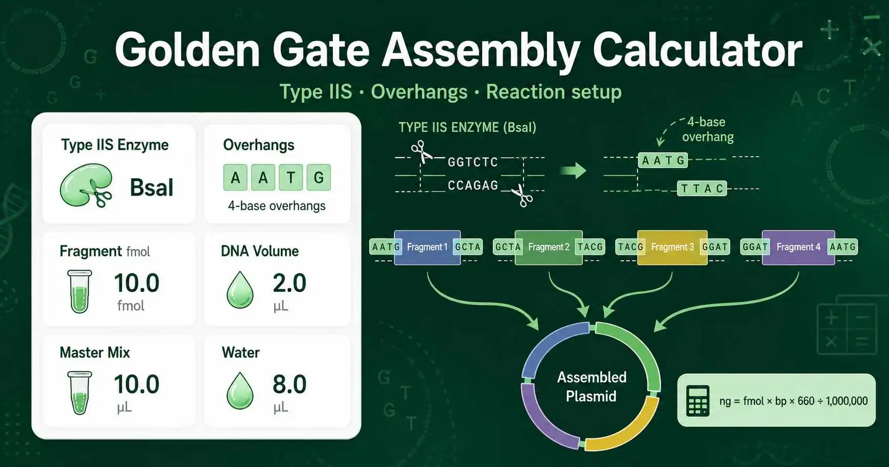 Golden Gate Assembly Calculator showing Type IIS enzyme choice, DNA fragments, overhangs, molar amounts, and reaction volumes