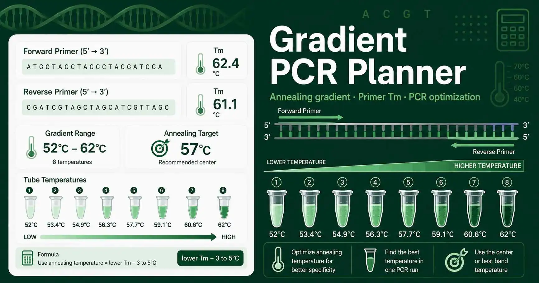 Gradient PCR Planner dashboard showing primer Tm values, annealing temperature range, and tube-by-tube PCR gradient setup