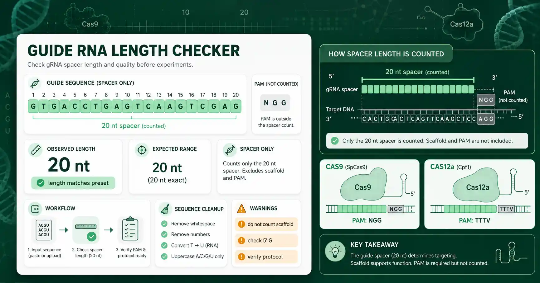 Guide RNA Length Checker interface showing inputs, calculated results, and molecular lab workflow cards