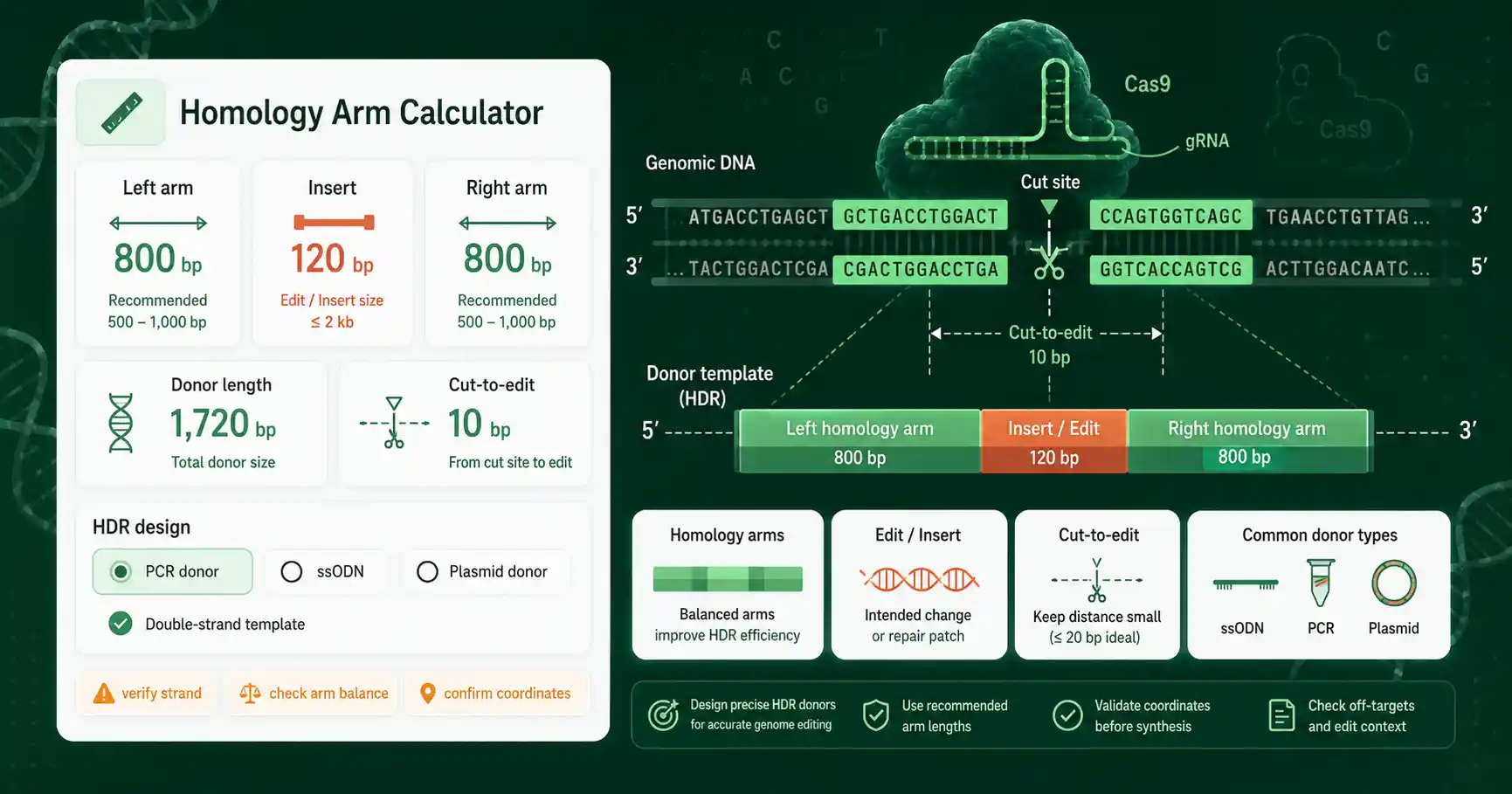 Homology Arm Calculator interface showing inputs, calculated results, and molecular lab workflow cards