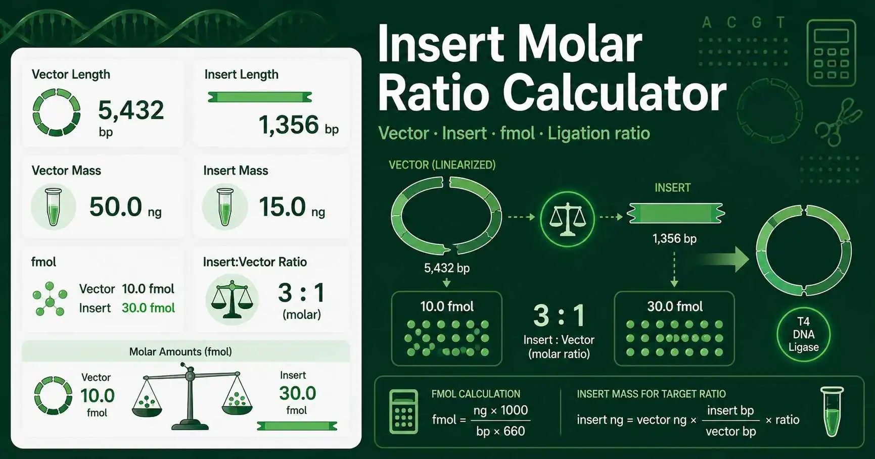 Insert molar ratio calculator showing vector length, insert length, DNA mass, fmol amount, and insert to vector ratio