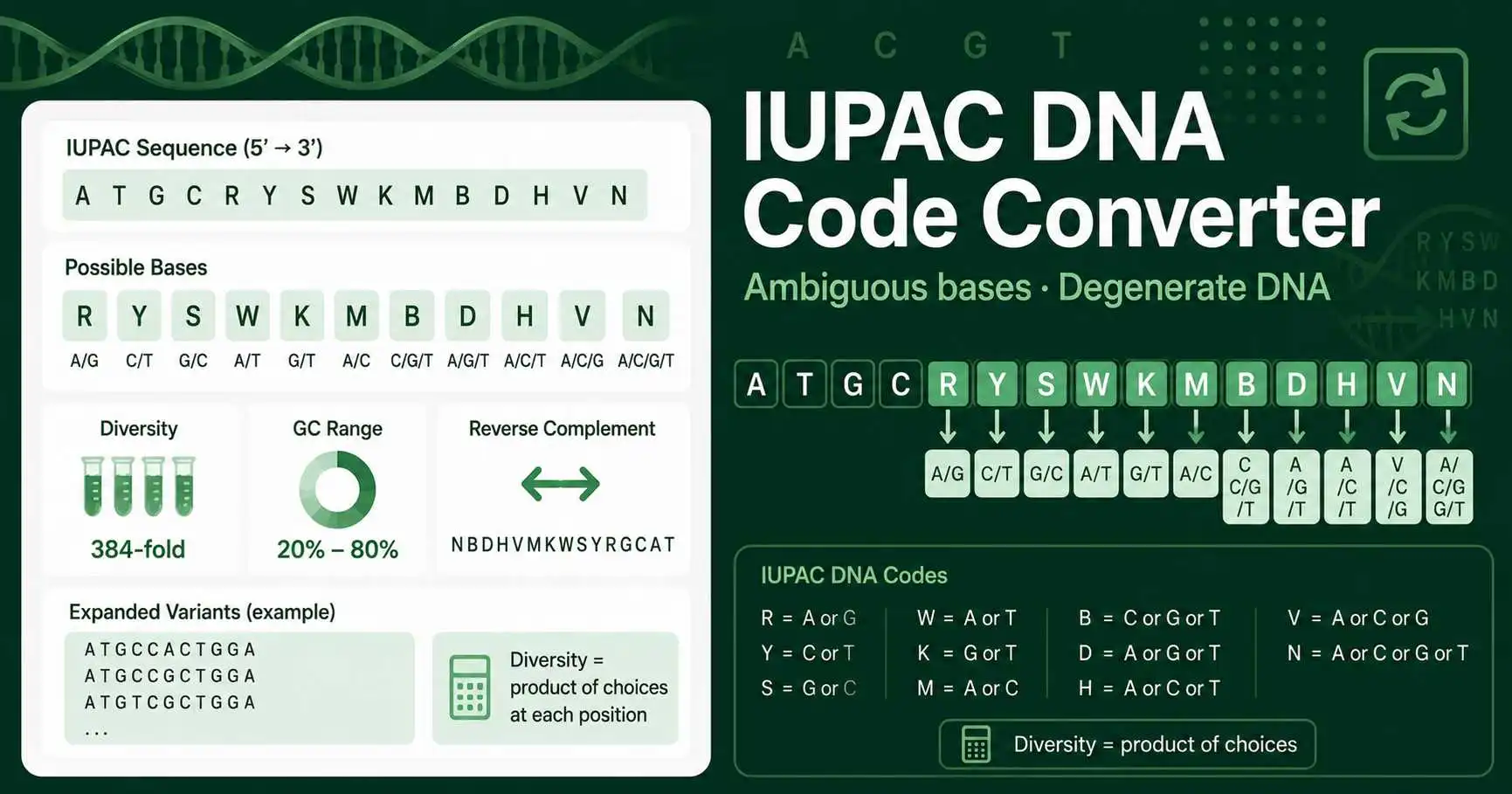 IUPAC DNA Code Converter showing ambiguous base symbols, possible bases, sequence diversity, and reverse complement output
