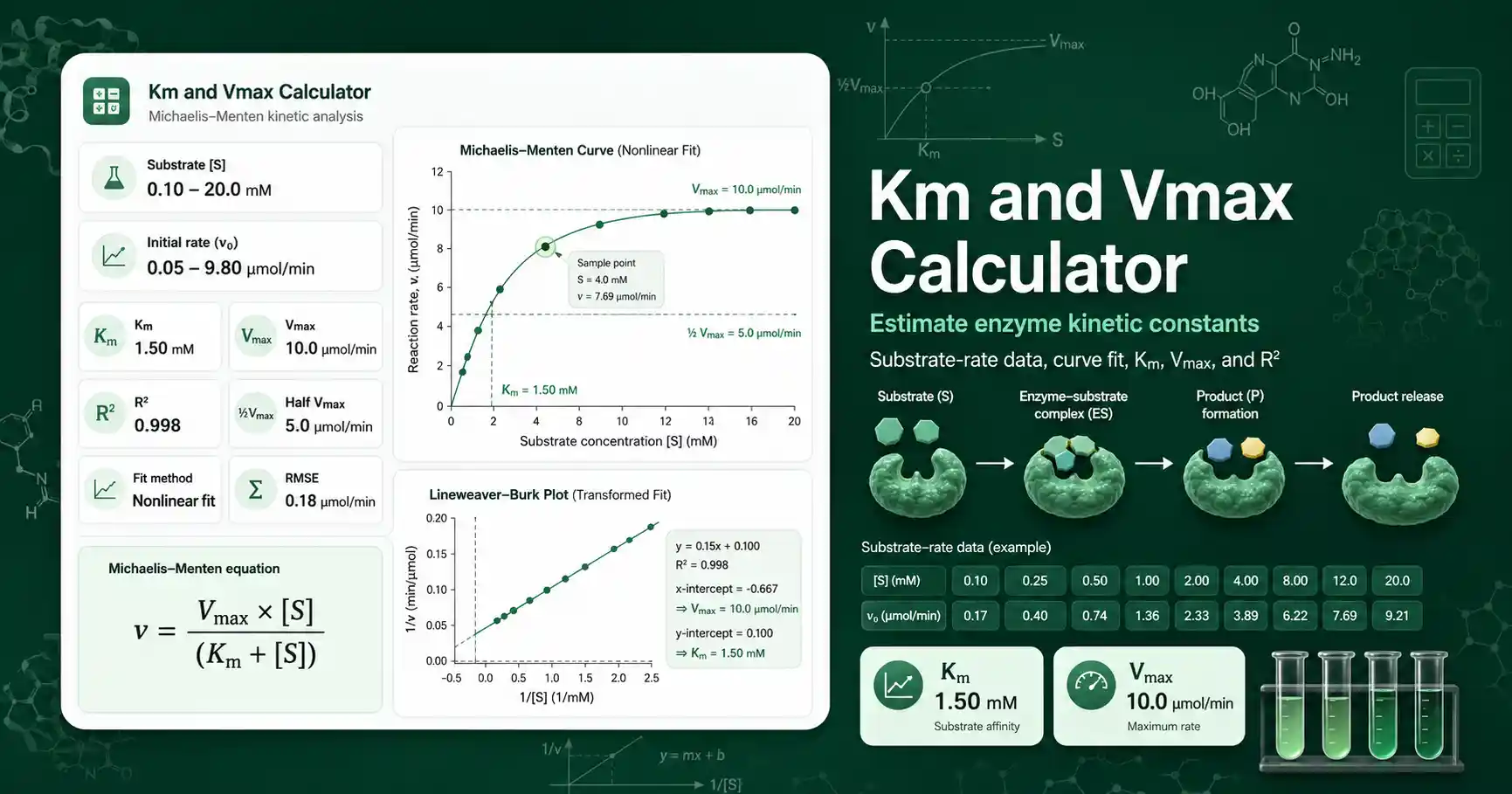 Km and Vmax Calculator interface showing substrate-rate data, Michaelis-Menten curve, Km, Vmax, and fit quality