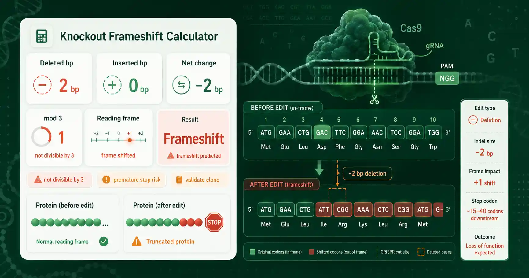 Knockout Frameshift Calculator interface showing inputs, calculated results, and molecular lab workflow cards