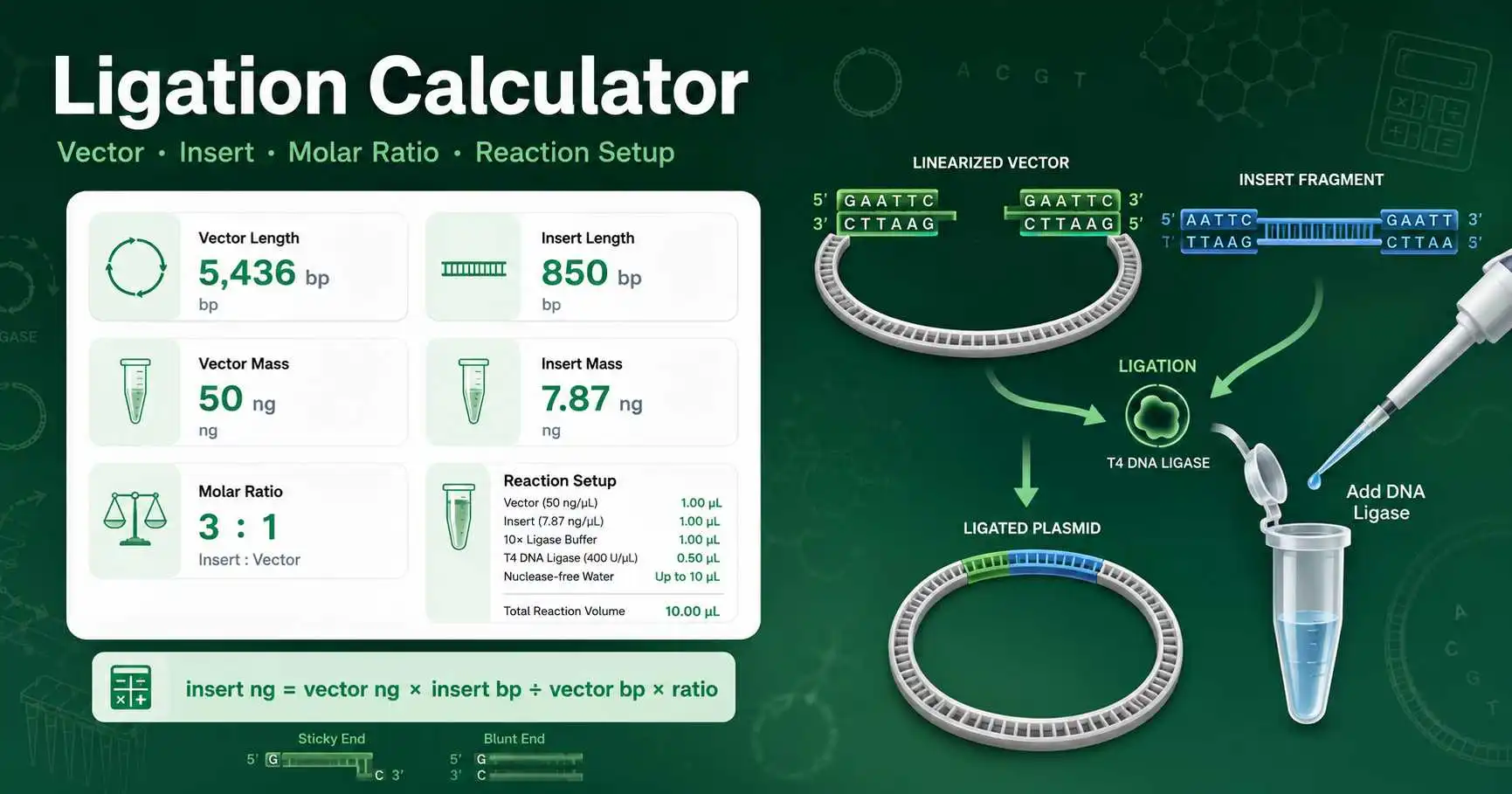 Ligation Calculator showing vector insert molar ratio, insert mass, and cloning reaction setup