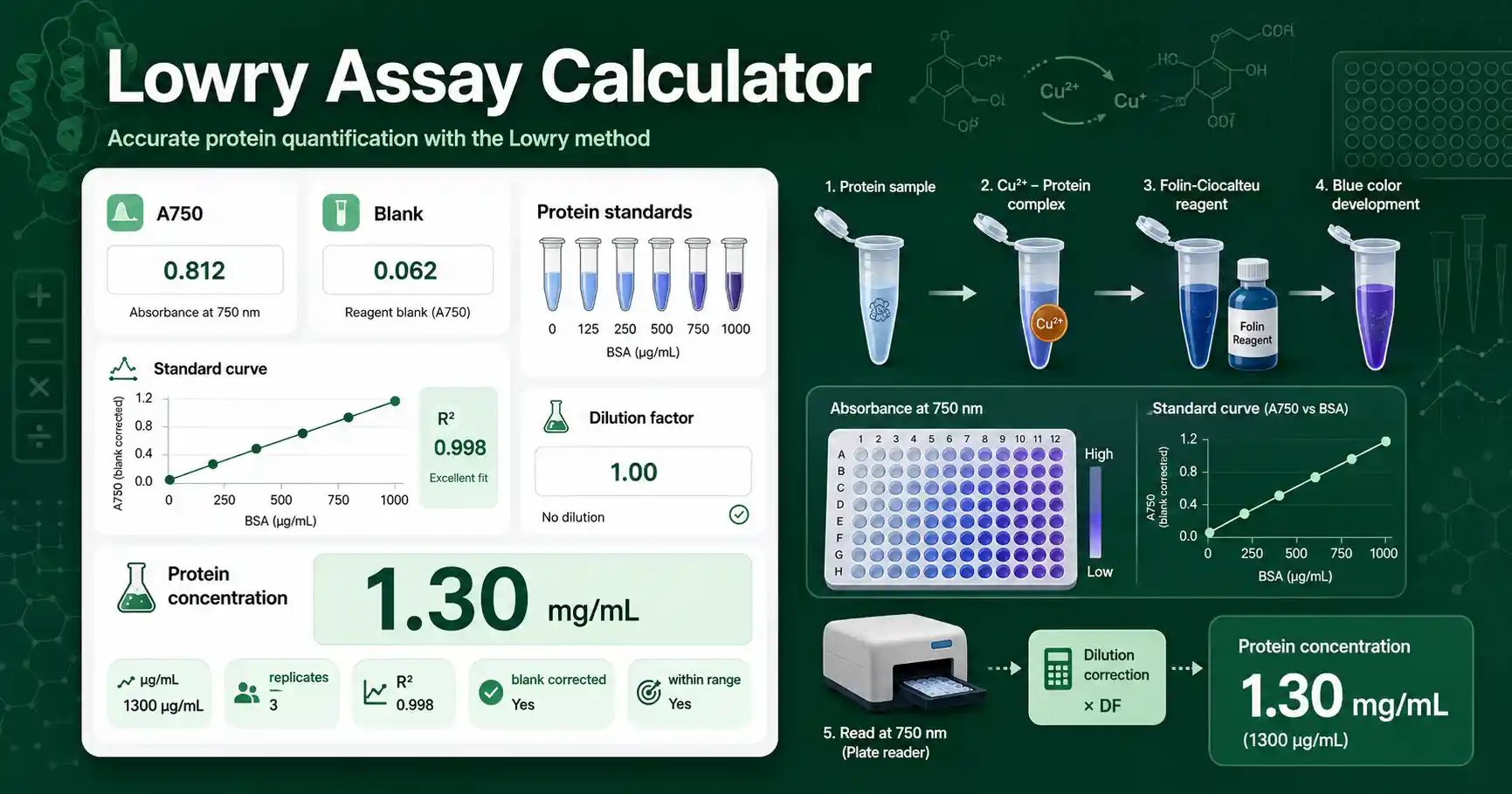 Lowry Assay Calculator interface showing A750 readings, Folin reagent workflow, standard curve, and protein concentration result