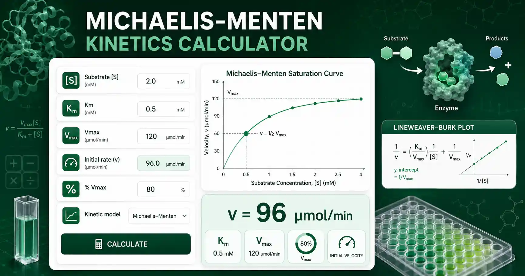 Michaelis-Menten Kinetics Calculator interface showing substrate concentration, Km, Vmax, enzyme rate, and kinetic curve preview
