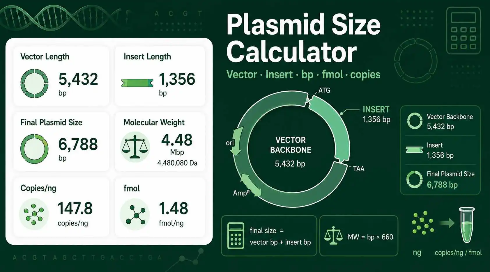 Plasmid Size Calculator showing vector length, insert length, final plasmid size, molecular weight, and copy number cards