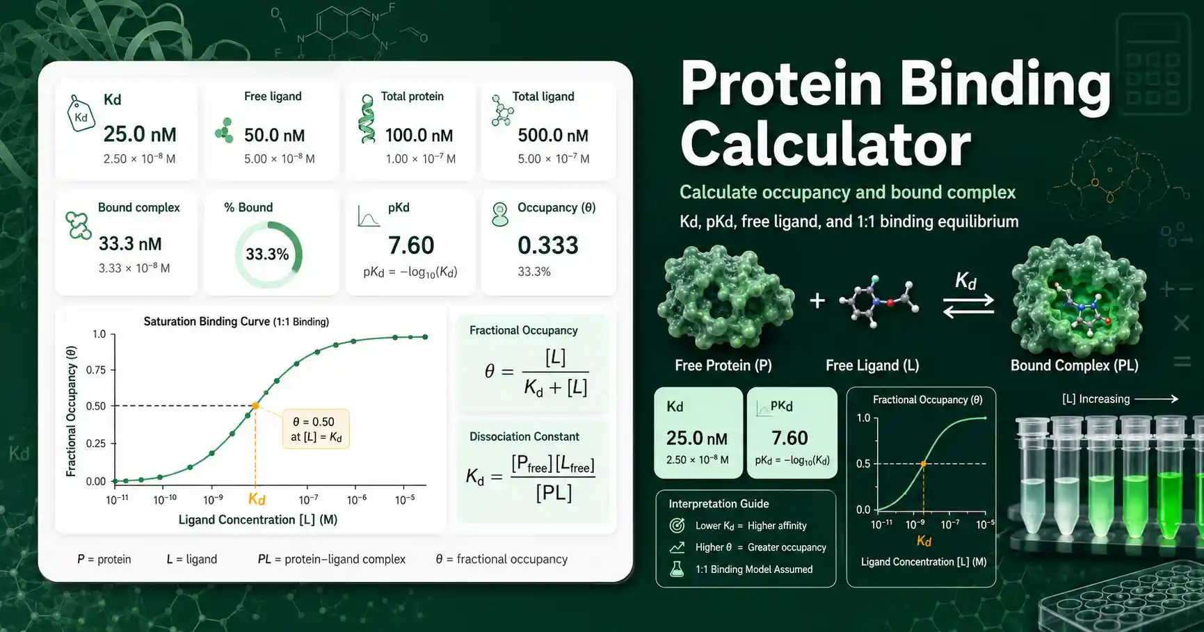 Protein Binding Calculator interface showing Kd, free ligand, bound complex, fractional occupancy, and protein-ligand equilibrium curve
