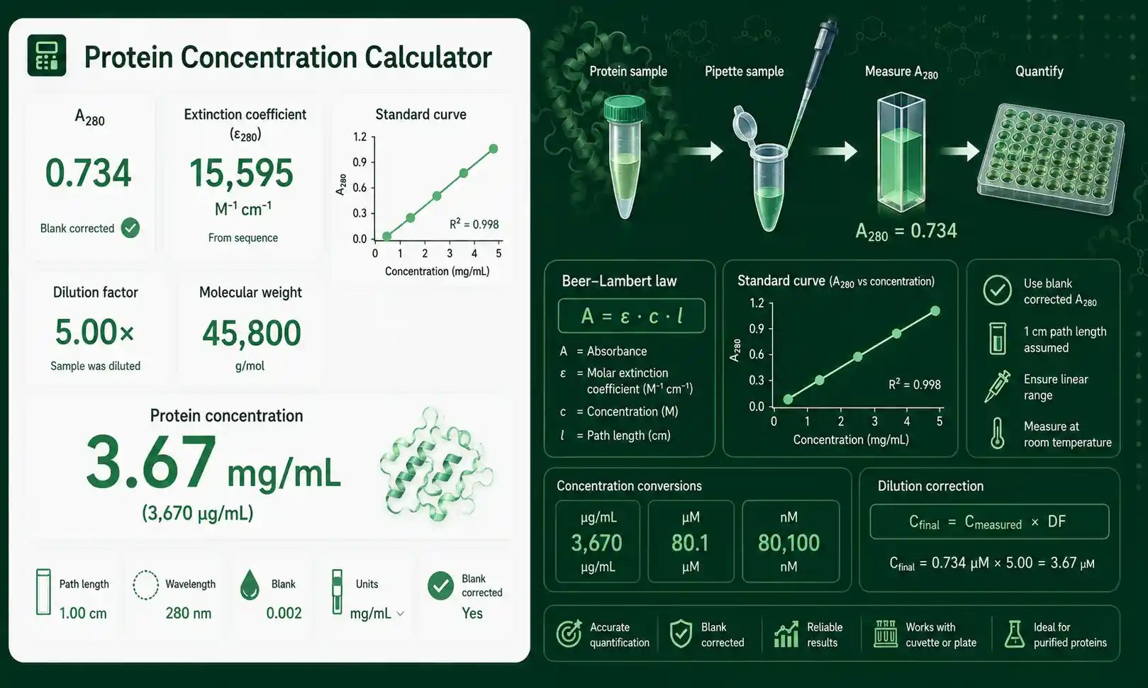 Protein Concentration Calculator interface showing inputs, calculated results, and molecular lab workflow cards