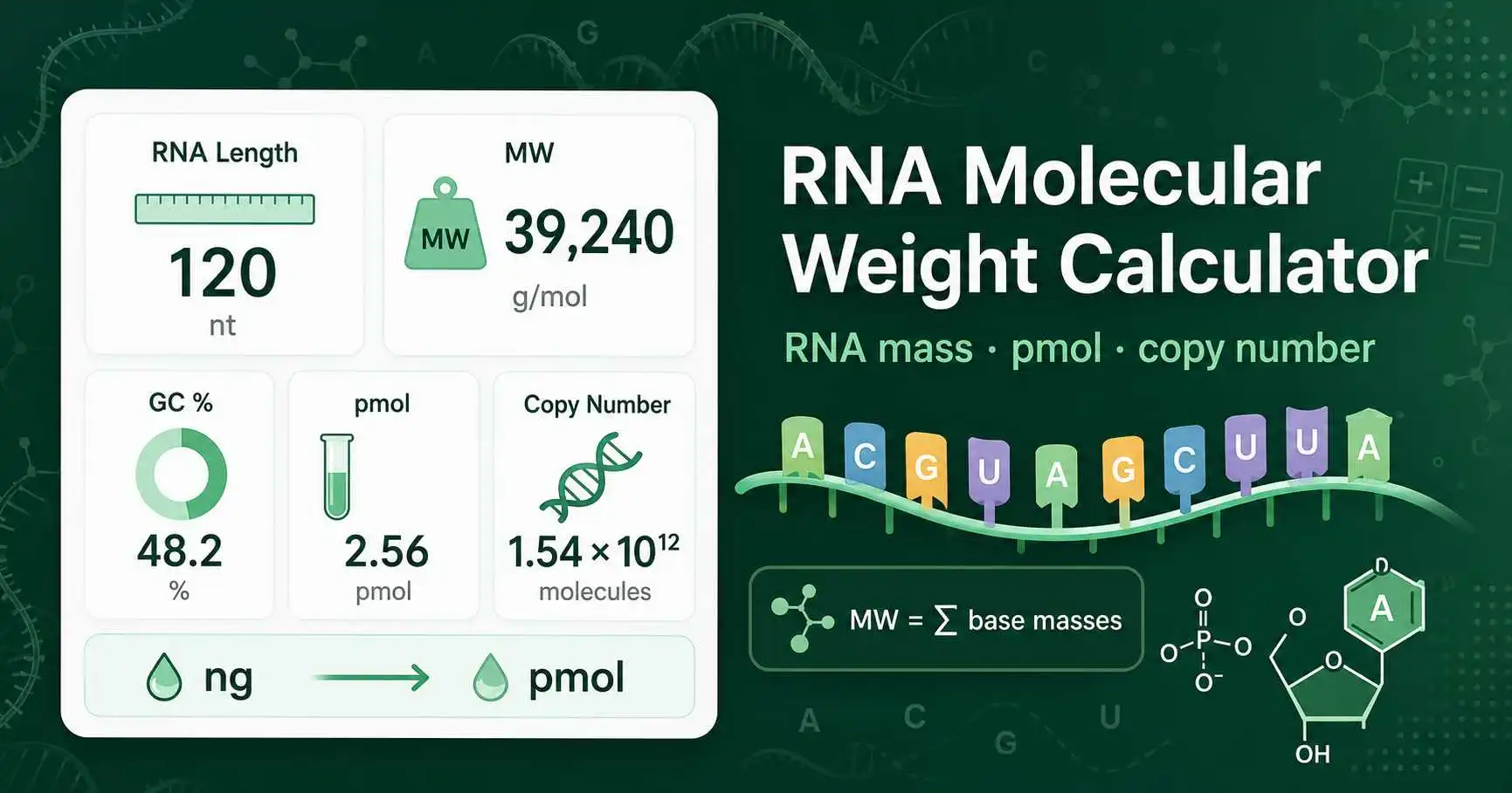 RNA Molecular Weight Calculator dashboard showing RNA sequence mass, base composition, pmol, and copy number results