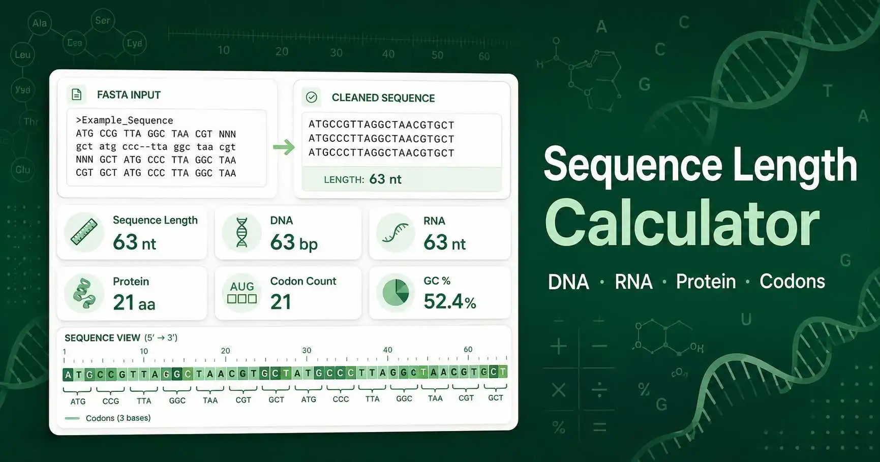 Sequence Length Calculator dashboard showing DNA, RNA, and protein length, codon count, GC content, and base composition