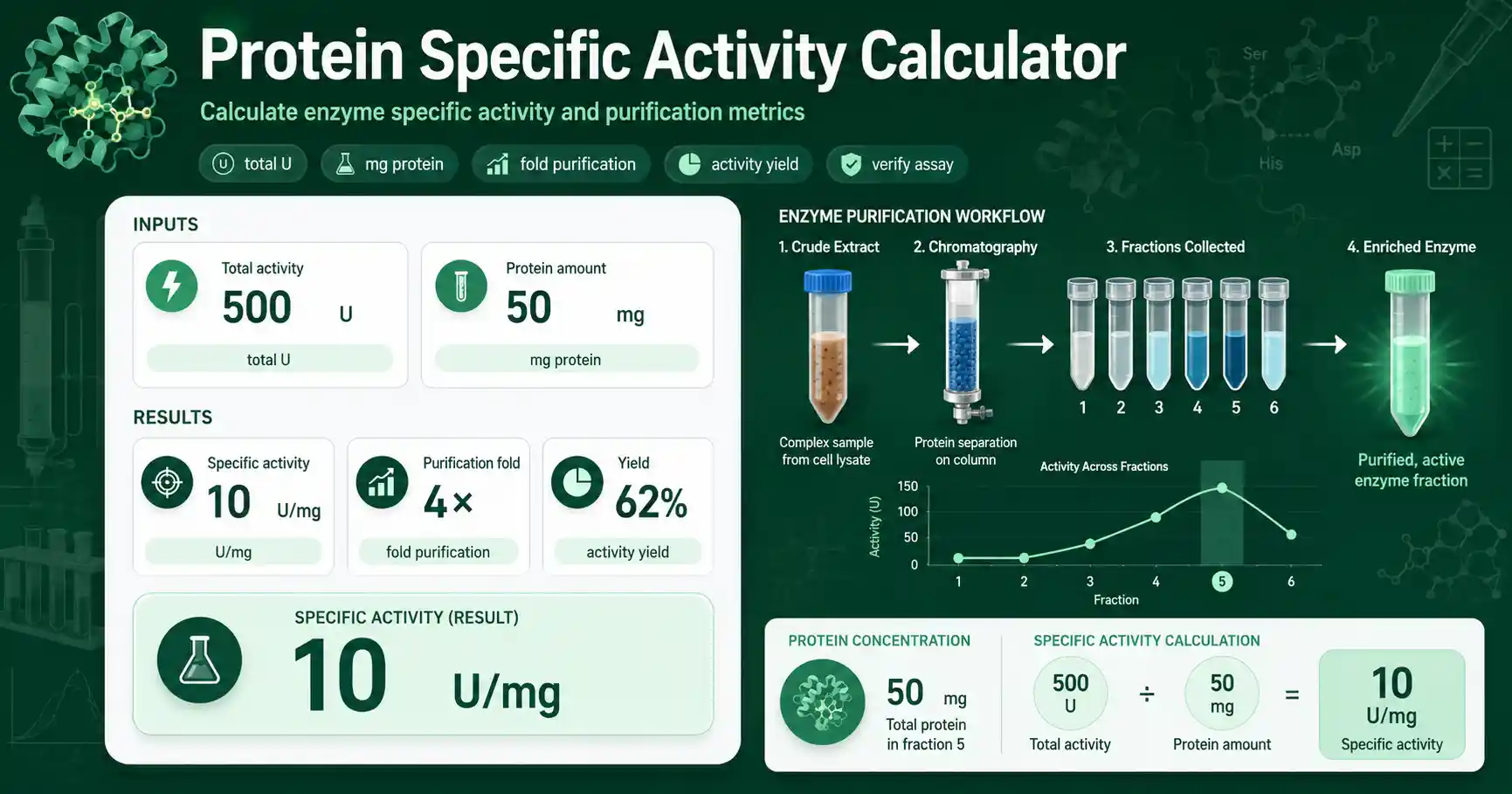 Protein Specific Activity Calculator interface showing enzyme activity, protein amount, U per mg, purification fold, and yield