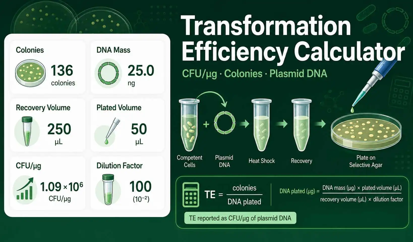 Transformation Efficiency Calculator showing colonies, DNA mass, recovery volume, plated volume, and CFU per microgram result